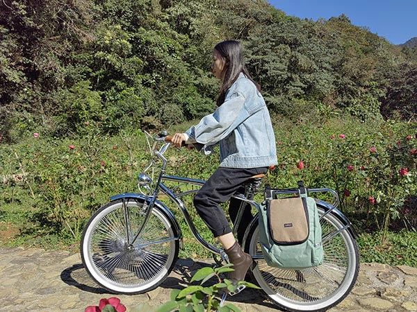 bike double pannier cooler bag